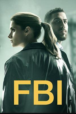 联邦调查局第二季 第01集