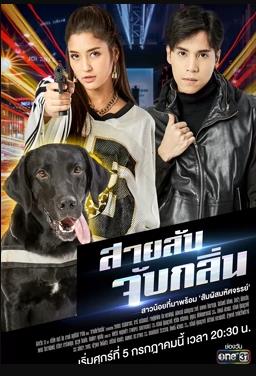 侦探K9普国语 第01集