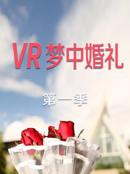 VR梦中婚礼第一季 第05期