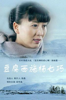 豆腐西施杨七巧 第29集