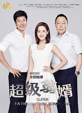 超级翁婿 第09集