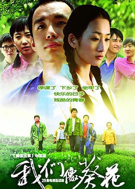 我们像葵花 第01集