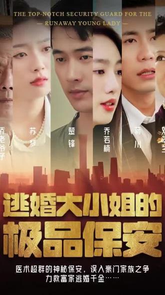 逃婚大小姐的极品保安 1-20集