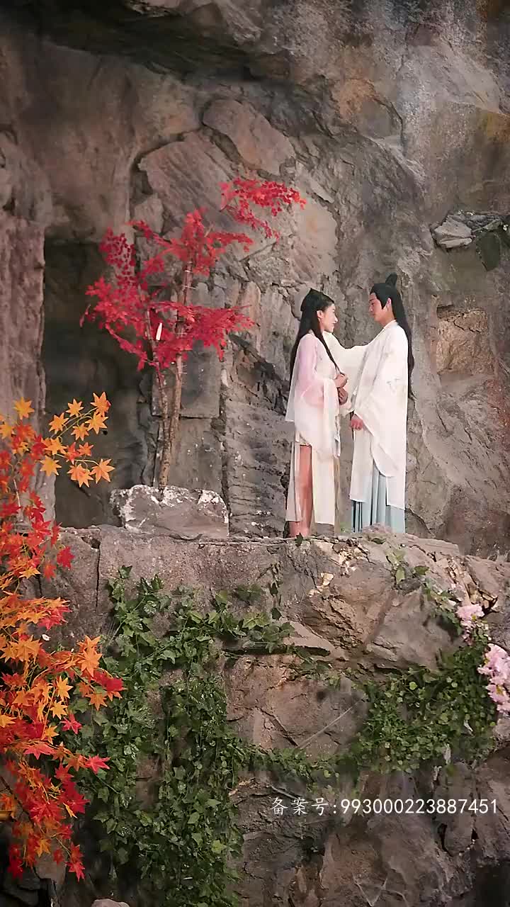 长生帝婿 1-20集