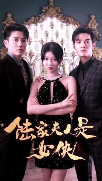 陆家夫人是女侠 61-80集