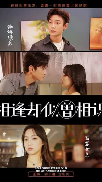 相逢却似曾相识 41-60集