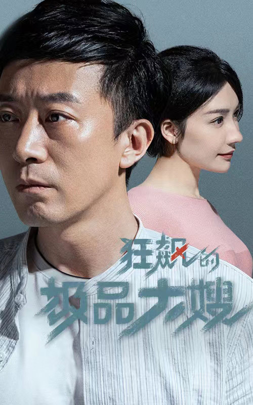 狂飙的极品大嫂 1-20集