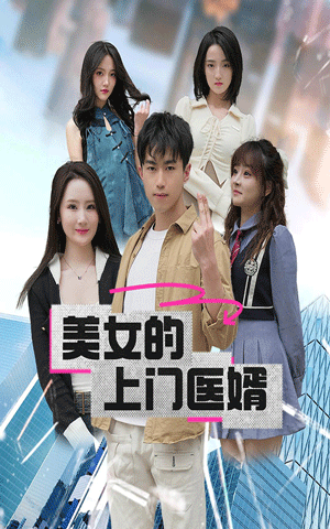 美女的上门医婿 1-20集
