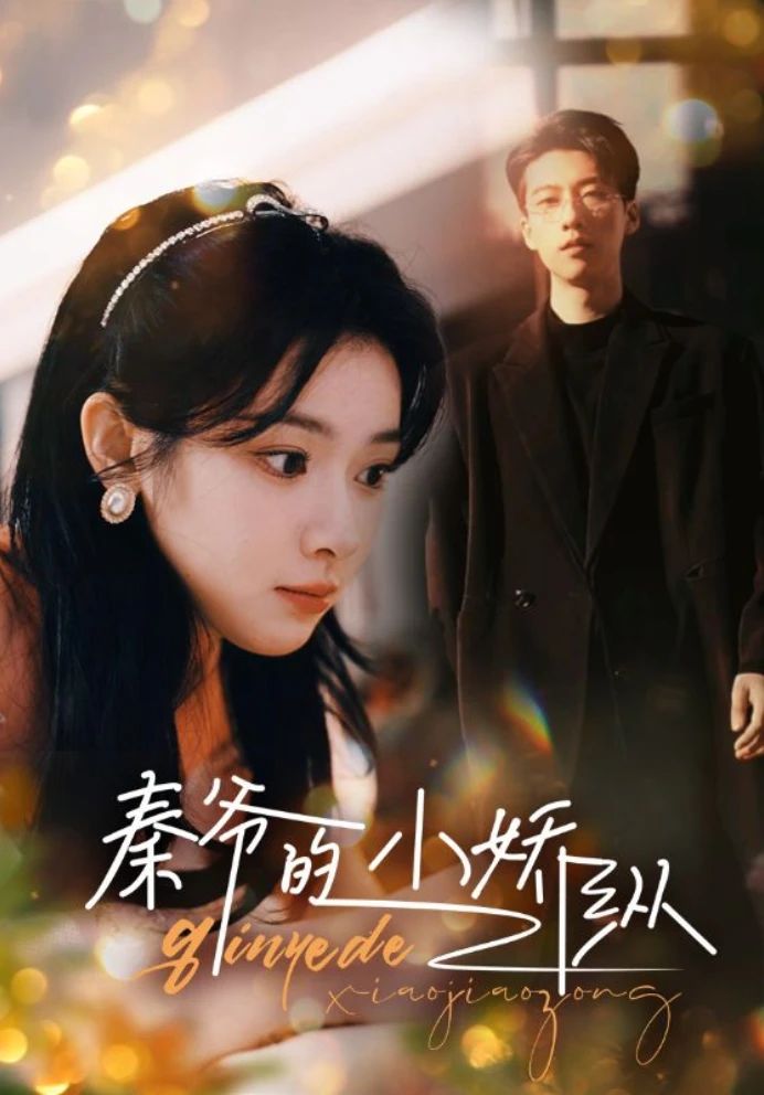 秦爷的小骄纵 1-20集