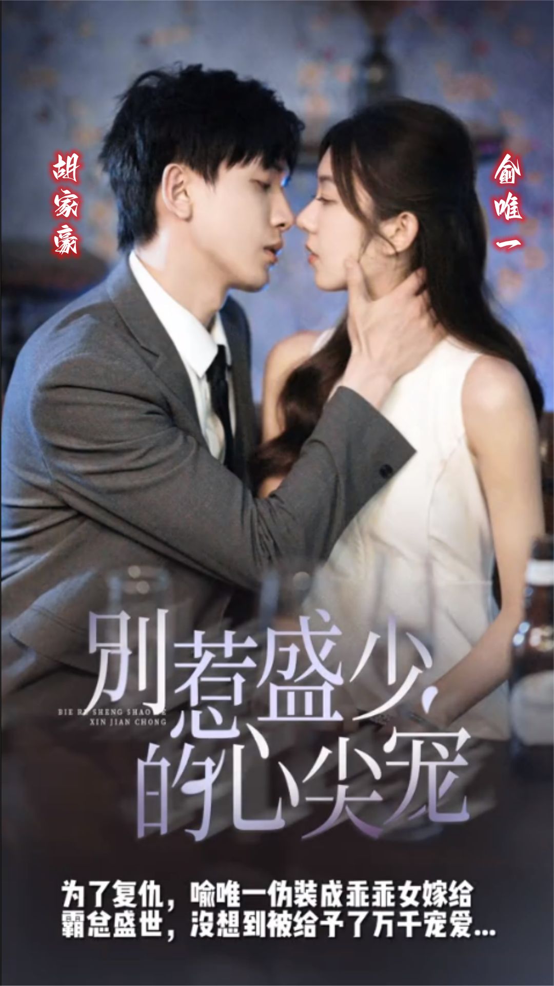 别惹盛少的心尖宠 全集(大结局)