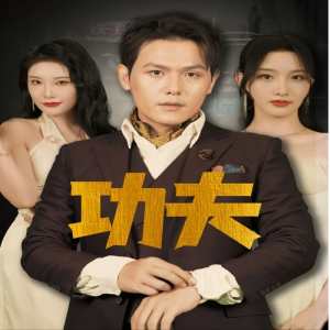 功夫短剧版 全集(大结局)