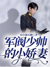少帅的小娇妻 全集(大结局)