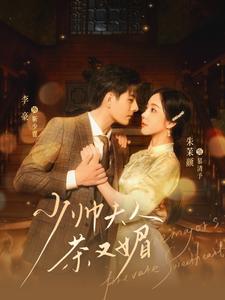 少帅夫人茶又媚 第38集