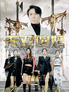 无双傻婿 全集 (上)