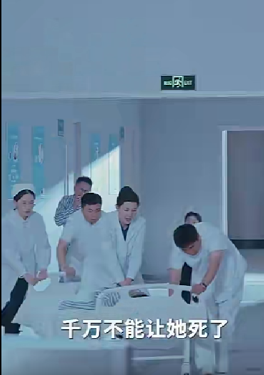 晨曦 全集(大结局)