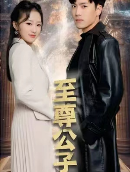 至尊公子 全集(大结局)