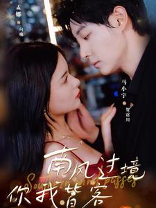 南风国境你我皆客 全集(大结局)