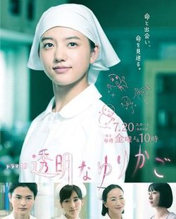 透明的摇篮 第01集