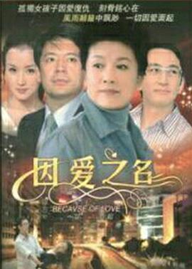 因爱之名 第2集