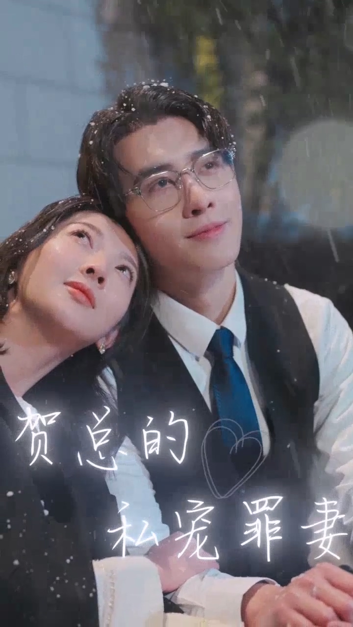 贺总的私宠罪妻 全集(大结局)