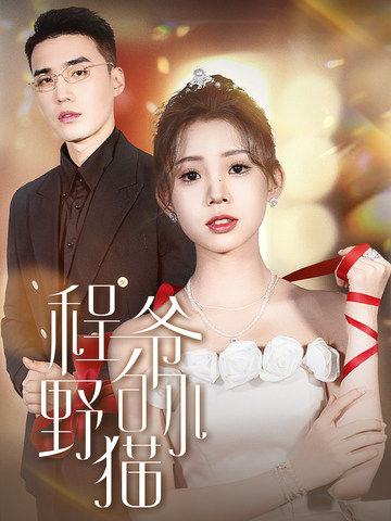 程爷的小野猫 全集(大结局)