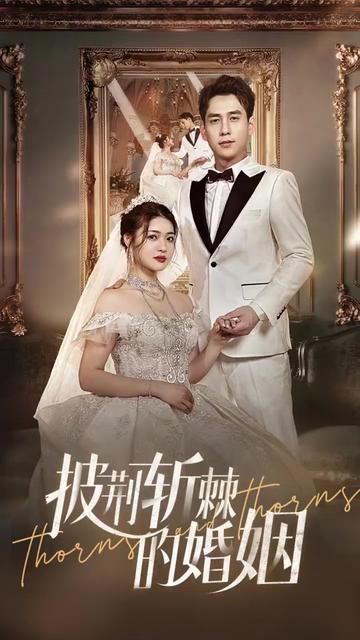 新版：披荆斩棘的婚姻 全集(大结局)