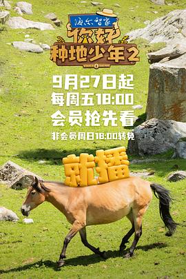 你好，种地少年2 20241004