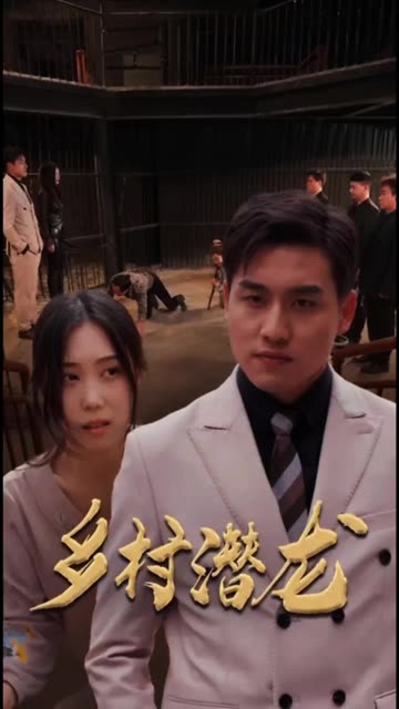 乡村潜龙 全集(大结局)