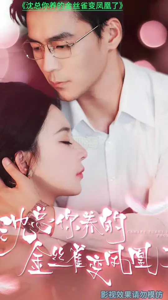 沈总你养的金丝雀变凤凰了 全集(大结局)