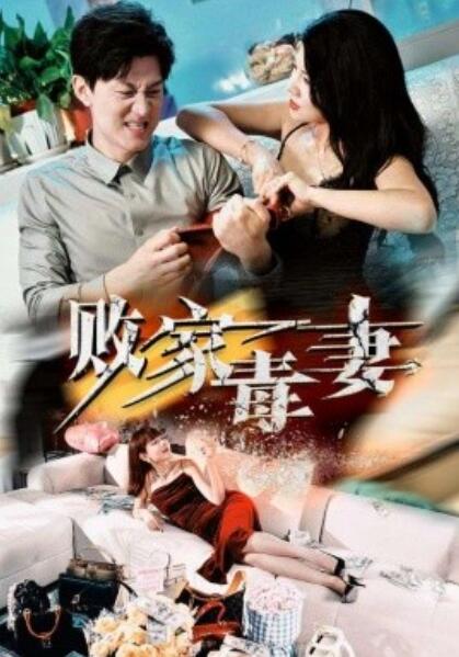 败家毒妻 第02集