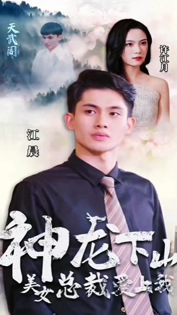 神龙下山，美女总裁爱上我 全集(大结局)