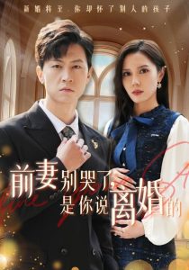 前妻别哭了是你说离婚的 第21-42集(大结局)