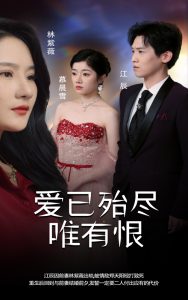 爱已殆尽唯有恨 第01-30集