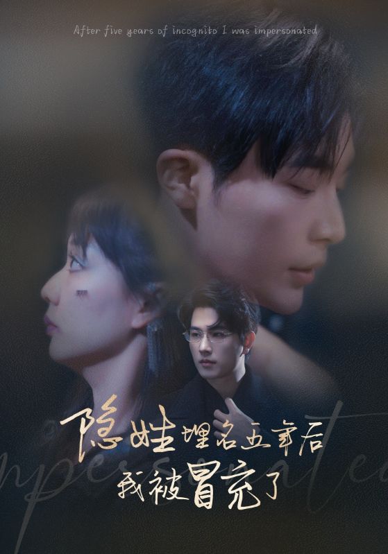 隐姓埋名五年后我被冒充了 全集(大结局)