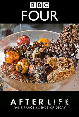 生命循环：奇异的腐烂科学(大结局)