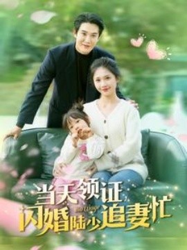 当天领证闪婚陆少追妻忙 第01-30集