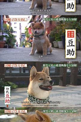 可爱的豆助 第05集