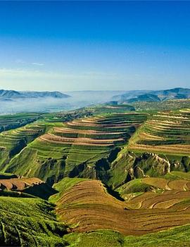 黄土大塬 第03集