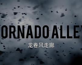 龙卷风走廊第二季 第03集