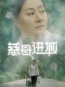 慈母进城 第01-30集