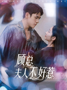 顾总夫人不好惹 全集(大结局)