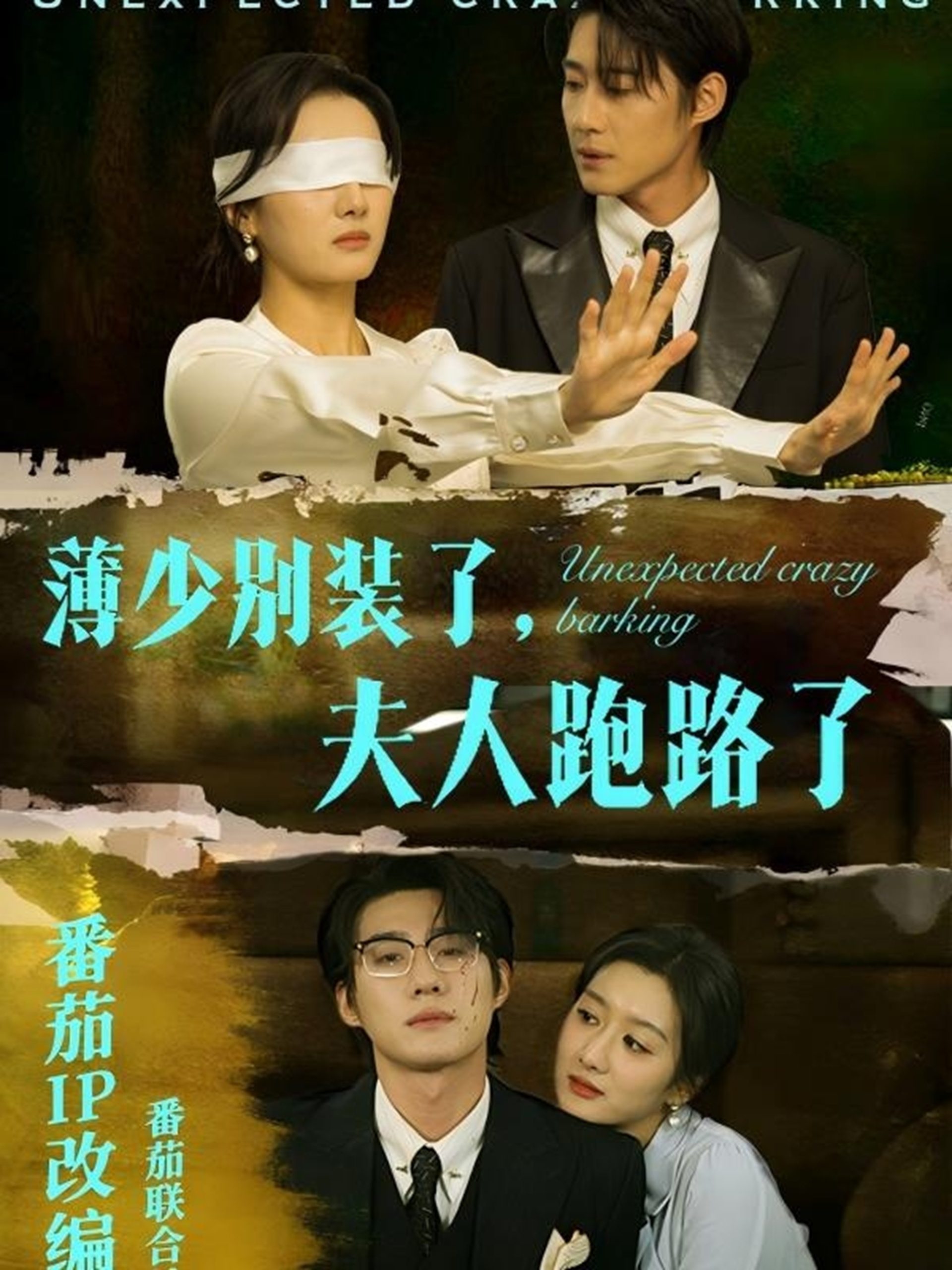 薄少别装了夫人跑路了 第31-60集(大结局)