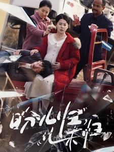 盼儿归儿未归 第01-30集(大结局)