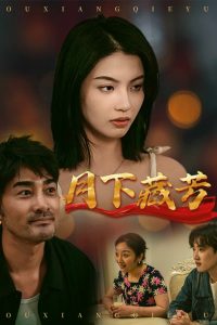 月下藏芳 第31-62集(大结局)