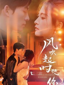 风吹起时想你 全集(大结局)