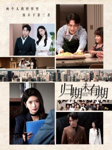 归期未有期 第31-60集(大结局)