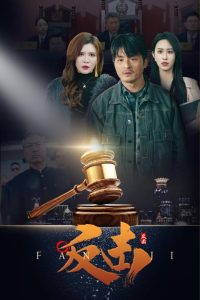 反击41集 全集(大结局)