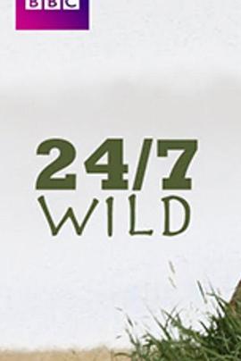 全天候野生动物追踪 第05集(大结局)