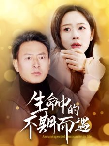 生命中的不期而遇 第01-35集(大结局)