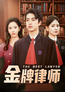 金牌律师 第21-48集(大结局)
